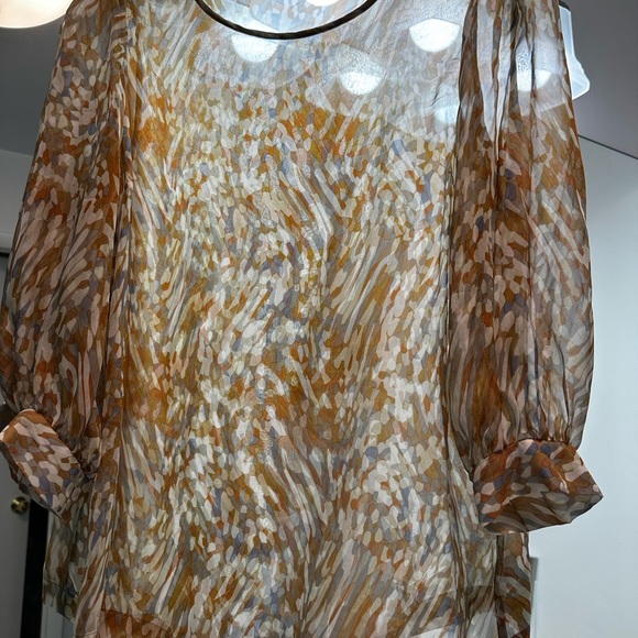 Walter sheer blouse - Picture 6 of 6